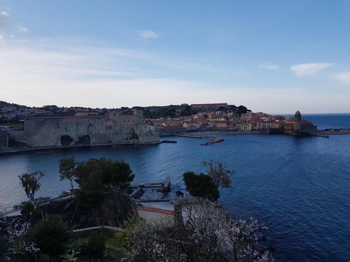 Rocade De Collioure Appt T4 Avec Grande Terrasse Et Garage Leilighet Eksteriør bilde