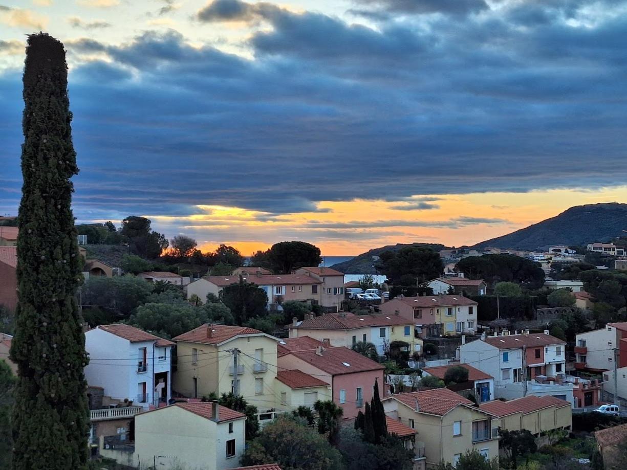 Rocade De Collioure Appt T4 Avec Grande Terrasse Et Garage Leilighet Eksteriør bilde